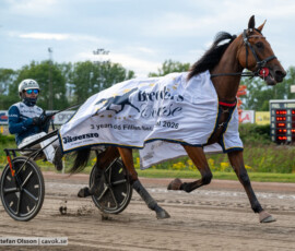 06 Intesa Ek o Magnus A Djuse | Jägersro 260728 | Foto: Stefan Olsson