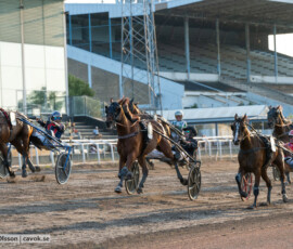 06 Ram Jam o Michel F Rothengatter | Jägersro 260714 | Foto: Stefan Olsson / CAVOK photo