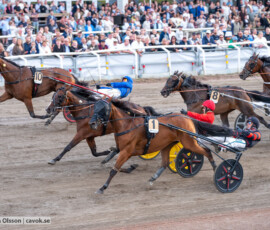 07 Mimosa to Martini o Mats E Djuse | Jägersro 260728 | Foto: Stefan Olsson