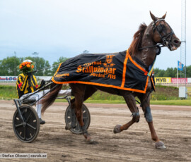 09 Fly Express o Christoffer Eriksson| Jägersro 260728 | Foto: Stefan Olsson