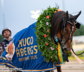 10 Allegiant o Daniel Redén | Jägersro 260728 | Foto: Stefan Olsson
