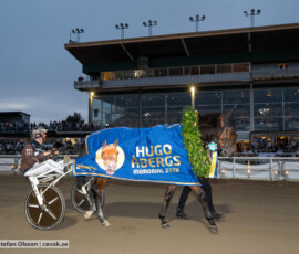 10 Allegiant o Daniel Redén
| Jägersro 260728 | Foto: Stefan Olsson