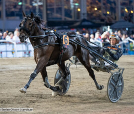 11 Mr Carnation o Carl Johan Jepson| Jägersro 260728 | Foto: Stefan Olsson
