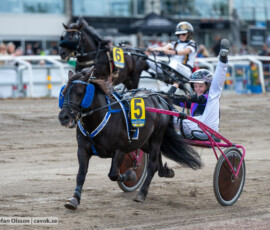 21 Mini Åbergs - Gransjöns Krumelur o Noelle Strandberg | Jägersro 260728 | Foto: Stefan Olsson