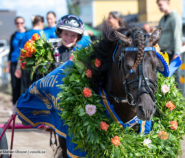 21 Mini Åbergs - Gransjöns Krumelur o Noelle Strandberg | Jägersro 260728 | Foto: Stefan Olsson