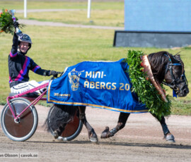 21 Mini Åbergs - Gransjöns Krumelur o Noelle Strandberg | Jägersro 260728 | Foto: Stefan Olsson