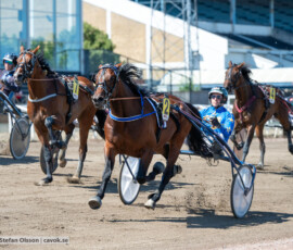 L1 Playithot o Tyler Mifsud | Jägersro 260721 | Foto: Stefan Olsson