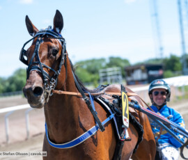 L1 Playithot o Tyler Mifsud | Jägersro 260721 | Foto: Stefan Olsson