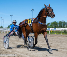 L1 Playithot o Tyler Mifsud | Jägersro 260721 | Foto: Stefan Olsson