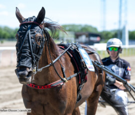 L2 Nikki Lane o Victor Rosleff | Jägersro 260721 | Foto: Stefan Olsson