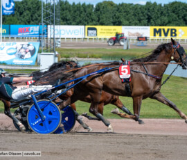L3 Epicure D.E. o Tyler Mifsud | Jägersro 260721 | Foto: Stefan Olsson