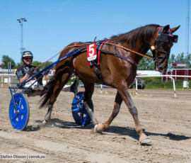 L3 Epicure D.E. o Tyler Mifsud | Jägersro 260721 | Foto: Stefan Olsson