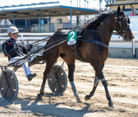 L4 Beibe Garde o Ken Ecce | Jägersro 260721 | Foto: Stefan Olsson