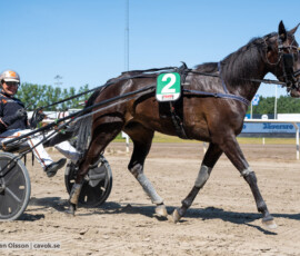 L4 Beibe Garde o Ken Ecce | Jägersro 260721 | Foto: Stefan Olsson