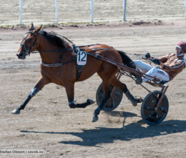 L5 Wishful o Mika Forss | Jägersro 260721 | Foto: Stefan Olsson