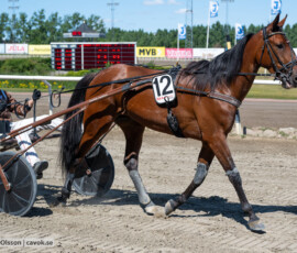 L5 Wishful o Mika Forss | Jägersro 260721 | Foto: Stefan Olsson