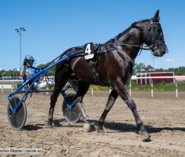 L6 Gattuso Effe o Markus Waldmüller | Jägersro 260721 | Foto: Stefan Olsson