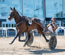 L7 Ulaya o Mika Forss | Jägersro 260721 | Foto: Stefan Olsson