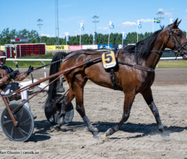 L7 Ulaya o Mika Forss | Jägersro 260721 | Foto: Stefan Olsson