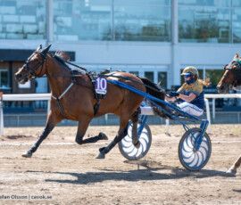 L8 Diamant Sensation o Sofie Ericsson | Jägersro 260721 | Foto: Stefan Olsson