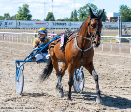 L8 Diamant Sensation o Sofie Ericsson | Jägersro 260721 | Foto: Stefan Olsson