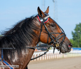 01 Le Peak | Jägersro 260804 | Foto: Stefan Olsson