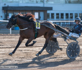 Reilly Westwood och Stefan Persson | Jägersro 260827 | Foto: Stefan Olsson