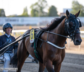 Reilly Westwood och Stefan Persson | Jägersro 260827 | Foto: Stefan Olsson