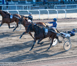 02 Bonita Garde o Valentin Prevost | Jägersro 260811 | Foto: Stefan Olsson