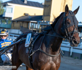 02 Bonita Garde o Valentin Prevost | Jägersro 260811 | Foto: Stefan Olsson