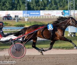 Virgin Tile och Johan Untersteiner | Jägersro 260827 | Foto: Stefan Olsson