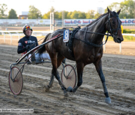 Virgin Tile och Johan Untersteiner | Jägersro 260827 | Foto: Stefan Olsson