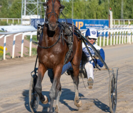 03 Kagan Coys o Adrian Kolgjini | Jägersro 260811 | Foto: Stefan Olsson