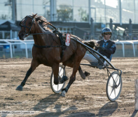 Wingait Stefan och Stefan Persson | Jägersro 260827 | Foto: Stefan Olsson
