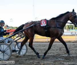 Wingait Stefan och Stefan Persson | Jägersro 260827 | Foto: Stefan Olsson