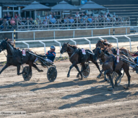 03 Xture Rols o Rick Ebbinge | Jägersro 260804 | Foto: Stefan Olsson