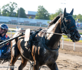 03 Xture Rols o Rick Ebbinge | Jägersro 260804 | Foto: Stefan Olsson