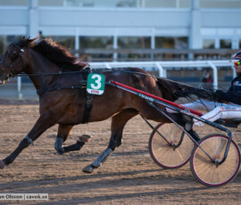 Mill Iwujii och Johan Untersteiner | Jägersro 260827 | Foto: Stefan Olsson