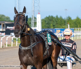 04 Xanthis Jones o Malte Handfast | Jägersro 260804 | Foto: Stefan Olsson