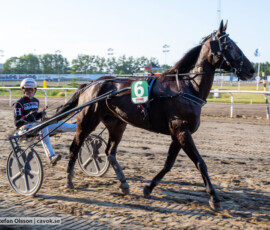 04 Xanthis Jones o Malte Handfast | Jägersro 260804 | Foto: Stefan Olsson