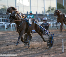 Bekir H.T.V. och Ken Ecce | Jägersro 260827 | Foto: Stefan Olsson