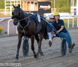 Bekir H.T.V. och Ken Ecce | Jägersro 260827 | Foto: Stefan Olsson