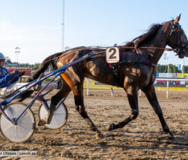 05 Levi Wynn o Joakim Lövgren | Jägersro 260804 | Foto: Stefan Olsson