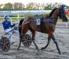 06 Spirulina o Jonas M Oscarsson | Jägersro 260811 | Foto: Stefan Olsson