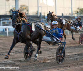 Ytowns Master och Joakim Lövgren | Jägersro 260827 | Foto: Stefan Olsson