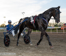 Ytowns Master och Joakim Lövgren | Jägersro 260827 | Foto: Stefan Olsson