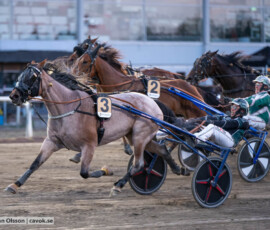 Glittra Vendil och Tyler Mifsud | Jägersro 260827 | Foto: Stefan Olsson