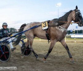 Glittra Vendil och Tyler Mifsud | Jägersro 260827 | Foto: Stefan Olsson