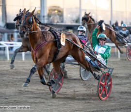 07 Global Futurity o Peter Arnqvist | Jägersro 260811 | Foto: Stefan Olsson