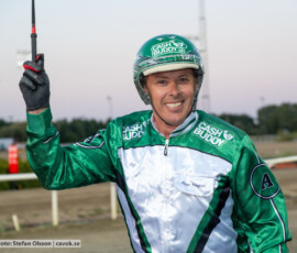 07 Peter Arnqvist | Jägersro 260811 | Foto: Stefan Olsson